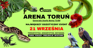 Blog: Egzotyczne Zwierzęta w Toruniu