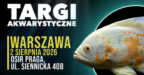 Blog: Targi Akwarystyczne Warszawa 02.08.2026