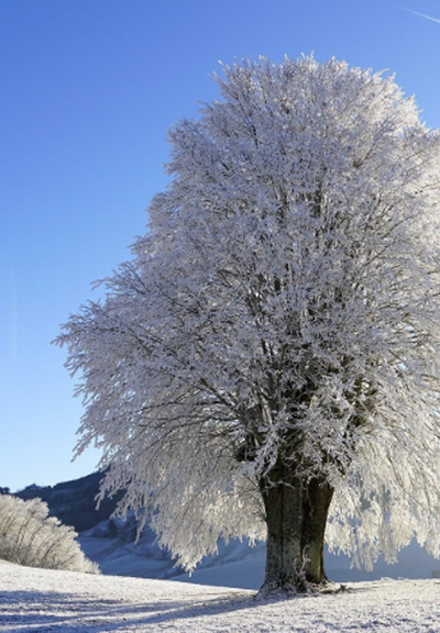 Slider - Film: Zima stulecia